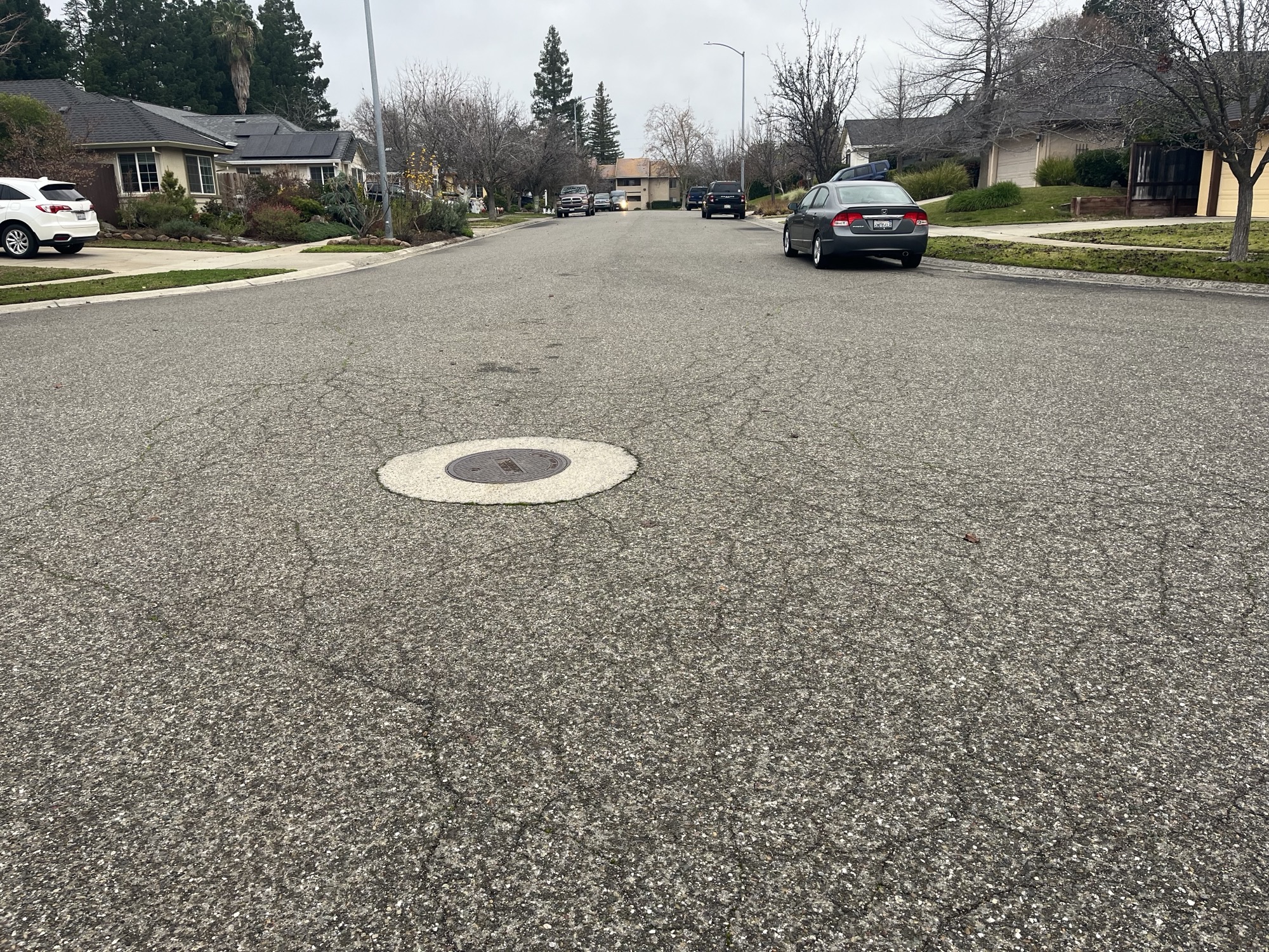 Photo of Cal Park Neighborhood street.