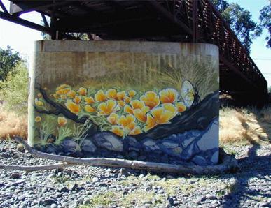 Ceres Bridge Underpass Murals 1