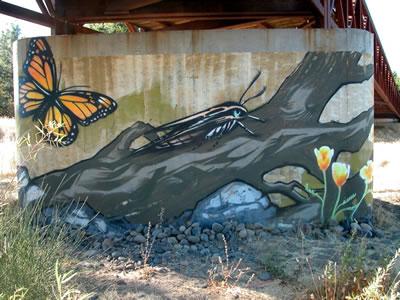Ceres Bridge Underpass Murals 2