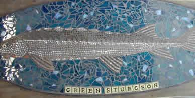 Soundwall fish 1
