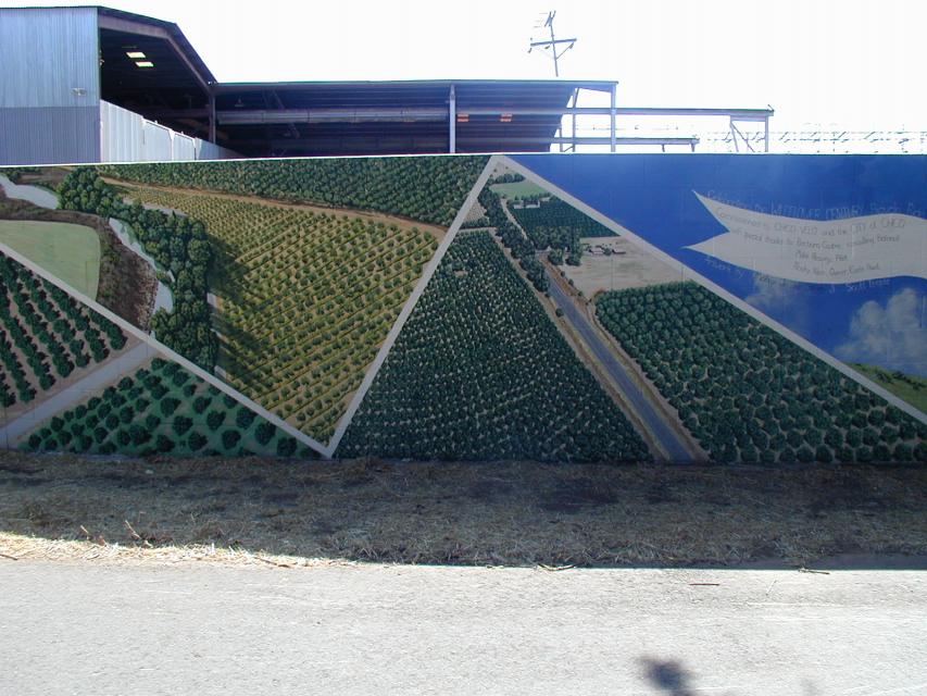 Wildflower Century Bike Event Mural