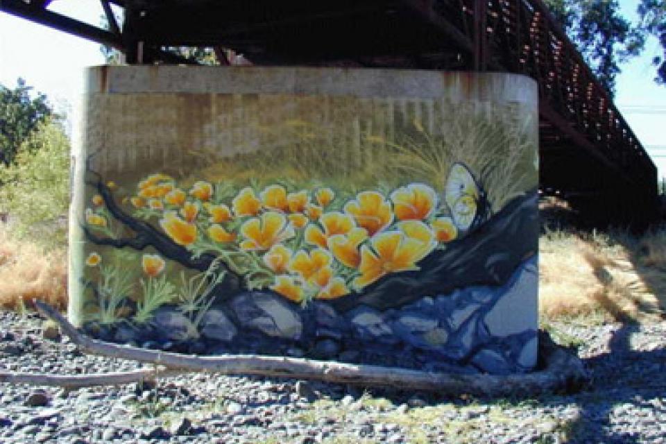Ceres Bridge Underpass Murals 1