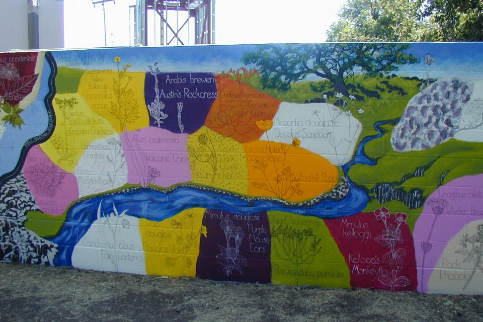 Botanical Mural