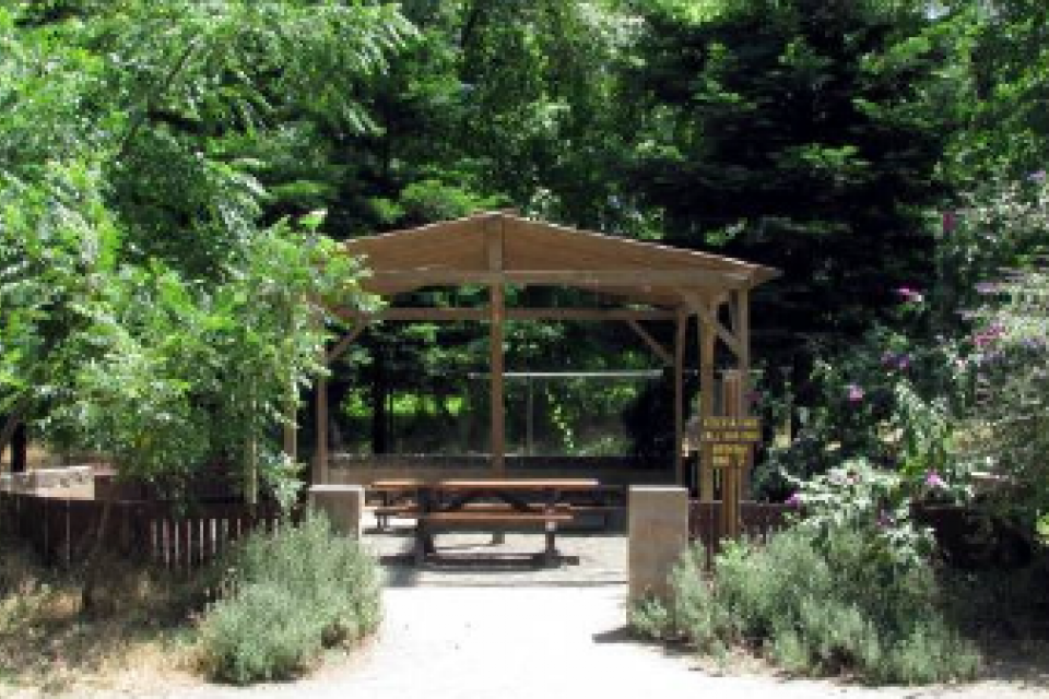 park bench and trees